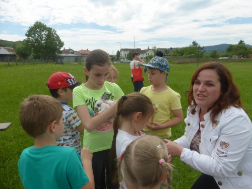 201506012314120.p1070035