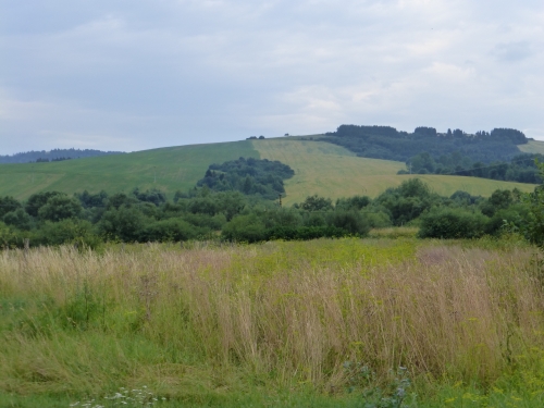 201507201251170.p1090219