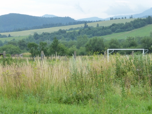 201507201253470.p1090217