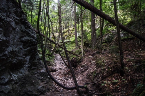 201509151852350.11017538_1039968262689999_6356330319073060331_o