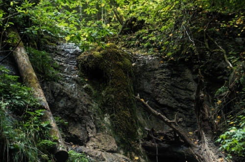 201509151852350.11145081_1039967666023392_4226822224057810017_o