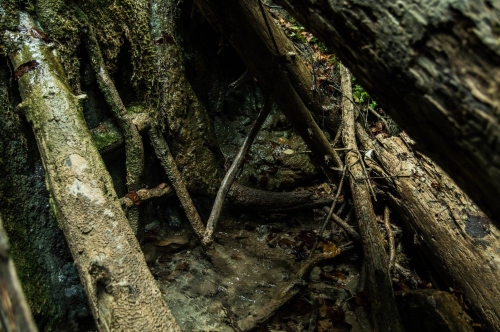 201509151858040.12000951_1039968069356685_92639461745595976_o