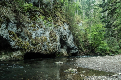 201509151858040.12002410_1039966456023513_8647034391784795107_o