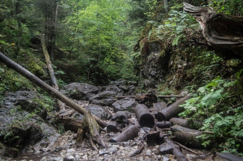 201509151858040.12002410_1039967806023378_3776225186025210520_o