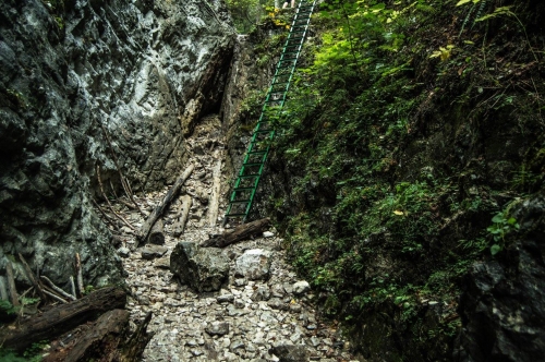 201509151858040.12015002_1039968099356682_6597000250079873473_o