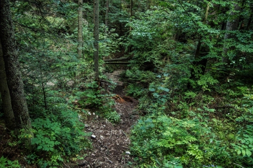 201509151858040.12034267_1039968426023316_1162406679842140669_o