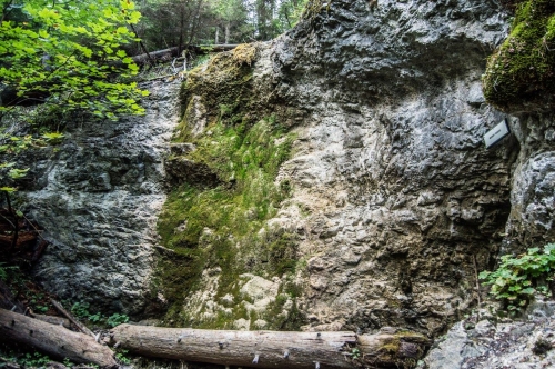 201509151858040.12038721_1039968319356660_101596455180593914_o