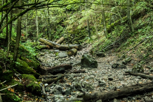 201509151858040.12038983_1039967486023410_6943905245508538033_o