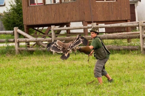 201701301032330.16358778_1398042403549248_1939331341_n