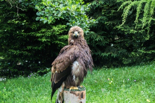 201701301032330.16395817_1398043413549147_769053759_n