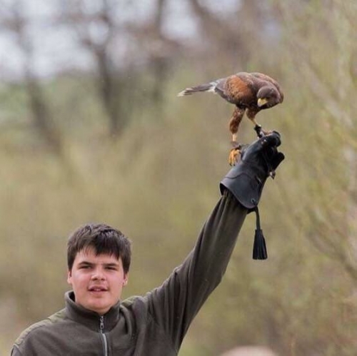 201701301032330.16426379_1398042440215911_317825005_n