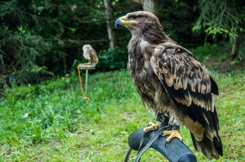 201701301032330.16441622_1398043510215804_1156383544_n