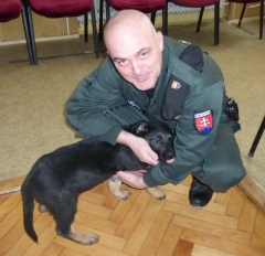 Trojmesačný policajný pes Condor sa stal miláčikom publika