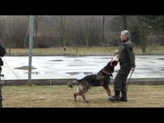 Ukážky zásahu policajného psa v Chmeľnici